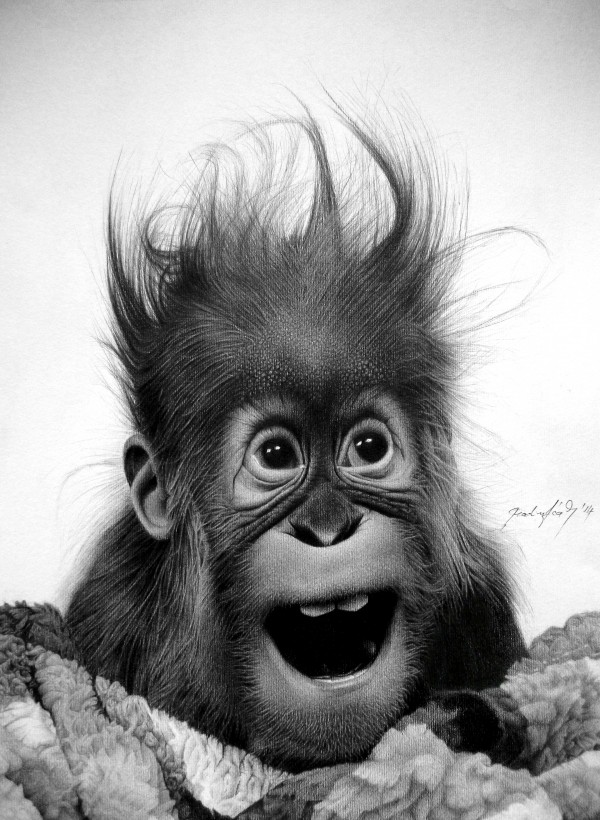 DONT PANIC  by Miro Gradinscak